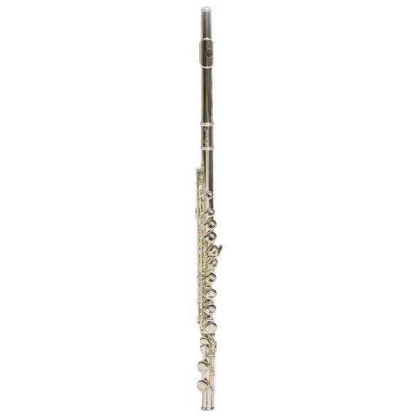 Bressant FL320SE Flauta En Do Plateada