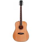 A4-D DREADNOUGHT NATURAL