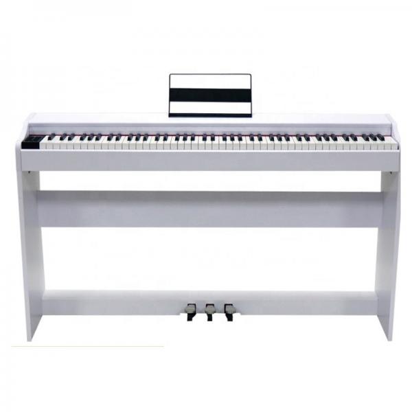 Prokeys S55WH Piano Digital Blanco