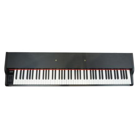 Pianos Electrónicos Prokeys S55BK Piano Digital Negro