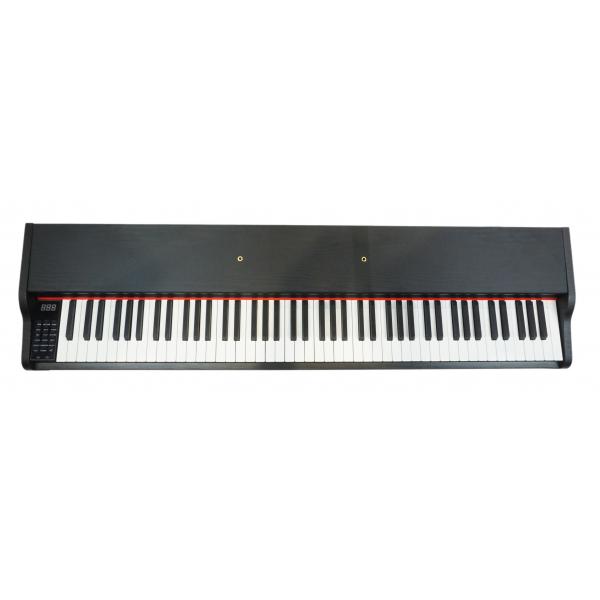 Prokeys S55BK Piano Digital Negro