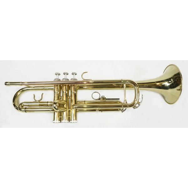 Memphis CS6418 Trompeta Dorada