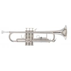 Trombones y Trompetas Amadeus TP807N Trompeta Niquelada