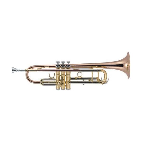 J Michael TR450 Trompeta SI Bemol