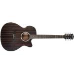 Washburn Deep Forest Ebony Ace Striped Ebony Guitarra Electroacústica