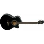 Washburn Festival EA12 Electroacústica