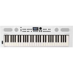 Teclados Electrónicos Roland Go Keys 5 WH Teclado Digital