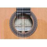 ALHAMBRA 10FP PIÑANA GUITARRA FLAMENCA + ESTUCHE