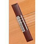 ALHAMBRA 10FP PIÑANA GUITARRA FLAMENCA + ESTUCHE