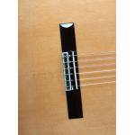 Alhambra 8F C Guitarra clásica
