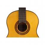 Antonio de Toledo ATF-270N Guitarra Flamenca Palosanto