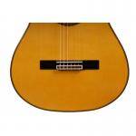 Antonio de Toledo ATF-270N Guitarra Flamenca Palosanto