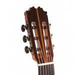 Antonio de Toledo ATF-270N Guitarra Flamenca Palosanto
