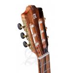 Alhambra GS Cut Away E8 Fishman Green Sustain con Funda 9738