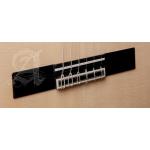 Alhambra GS Cut Away E8 Fishman Green Sustain con Funda 9738