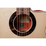 Alhambra GS Cut Away E8 Fishman Green Sustain con Funda 9738