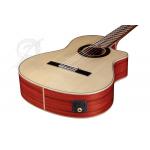 Alhambra GS Cut Away E8 Fishman Green Sustain con Funda 9738