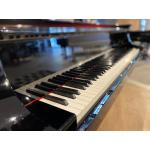 Yamaha CFX 6327200 Ocasión