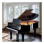 Yamaha C3 6194817 (2007)  Ocasión