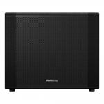 Pioneer DJ XPRS1182ST Subwoofer activo