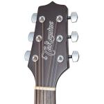 Takamine GD21CE-SM Satin Molasse Guitarra Electroacústica