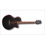 Takamine GF49CE-CB Cosmic Black Pearl Guitarra Electroacústica