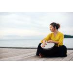 Roland MN-10 Mood Pan Handpand digital