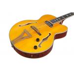 Ibanez PM3C-NAL Pat Metheny Signature