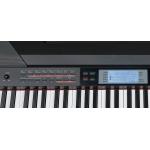 Medeli SP4200 BK 88 Teclas Negro Piano de Escenario