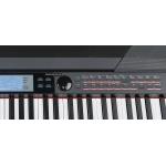 Medeli SP4200 BK 88 Teclas Negro Piano de Escenario