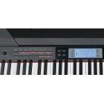 Medeli SP4200 BK 88 Teclas Negro Piano de Escenario