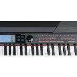 Medeli SP4200 BK 88 Teclas Negro Piano de Escenario