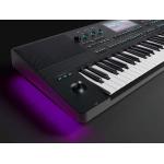 Medeli AKX10 61 Teclas Teclado Workstation