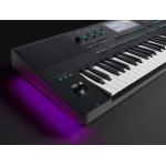 Medeli AKX10 61 Teclas Teclado Workstation