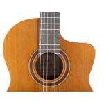 Admira Granada Fishman Cutaway Serie Conservatorio Guitarra Electroclásica