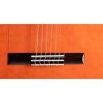 Admira ALEGRÍA Serie Flamenco Cutaway Fishman