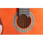 Admira ALEGRÍA Serie Flamenco Cutaway Fishman