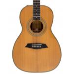 Sire Larry Carlton A4 Parlor NT Natural