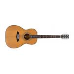 Sire Larry Carlton A4 Parlor NT Natural
