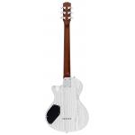 Sire Larry Carlton I5H Inca Silver