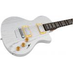 Sire Larry Carlton I5H Inca Silver