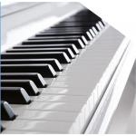 ProKeys S-65 Blanco Pulido Piano