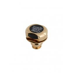 Enganches de seguridad Ernie Ball EB4602 Strap Locks Dorado
