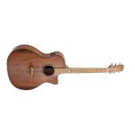 Randon RGI-14VT-CE Guitarra electroacústica Caoba