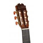 Antonio de Toledo ATF-17Z de Ziricote Guitarra Flamenca