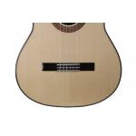 Antonio de Toledo ATF-17 SANTOS Guitarra Flamenca Palosanto Tapa Abeto