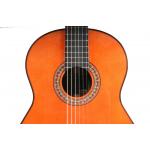 Antonio de Toledo ATF-17NR Palosanto Tapa Abeto Rojo Guitarra Flamenca