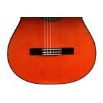 Antonio de Toledo ATF-17NR Palosanto Tapa Abeto Rojo Guitarra Flamenca