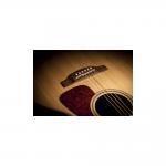 Takamine GN93CE Nat Guitarra Electroacústica