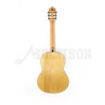 Jose Torres JTC-5 SB